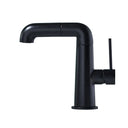  Black faucet