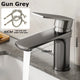  Gun Gray C